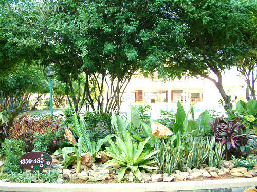 Patong Resort Hotel 4